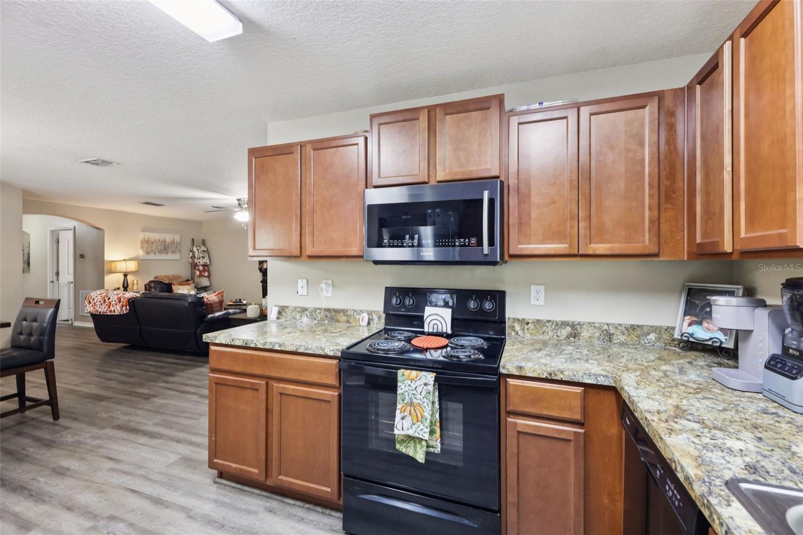 TAVARES CHELSEA OAKS SOUTH - Residential