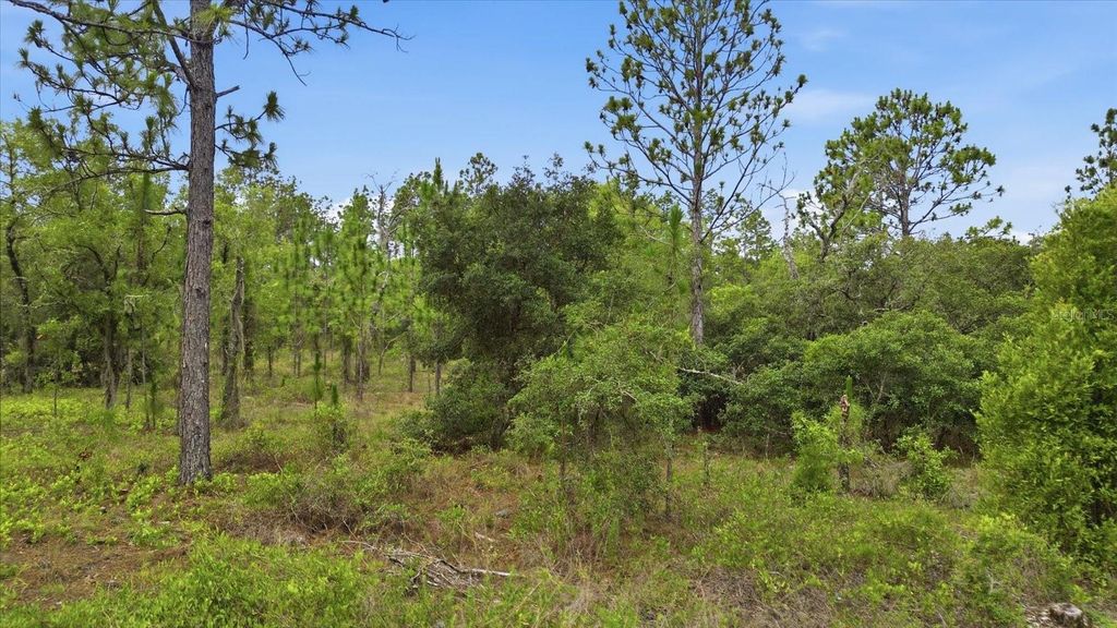 Photo of 0000 SW Plaza Ct, Dunnellon, FL 34431 (MLS # TB8521937)