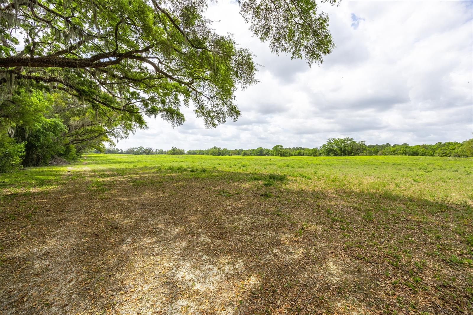 TBD SW 220TH DRIVE
