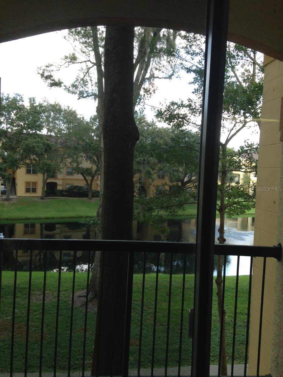 THE PINNACLE AT CARROLLWOOD A - Residential Lease