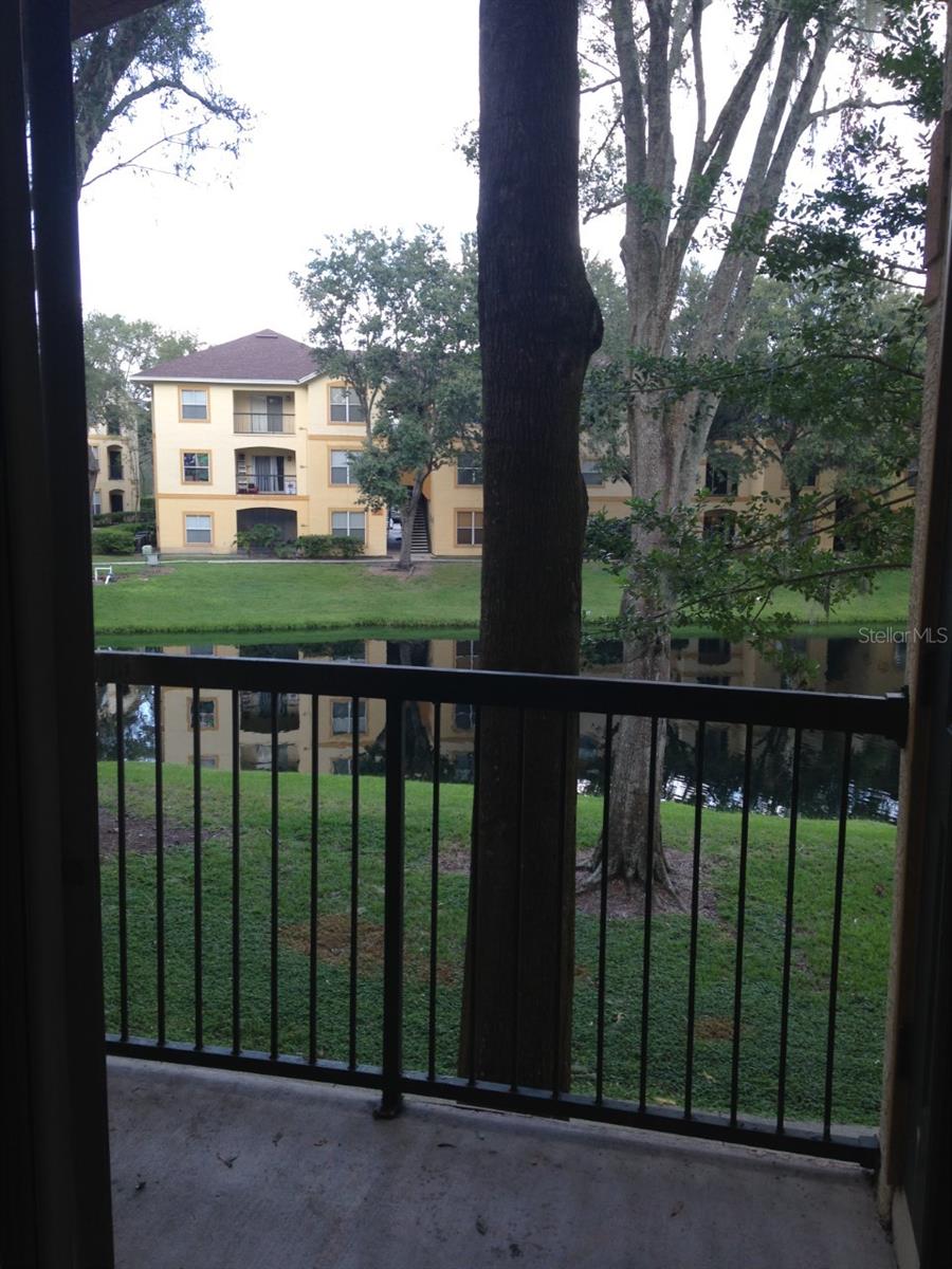 THE PINNACLE AT CARROLLWOOD A - Residential Lease
