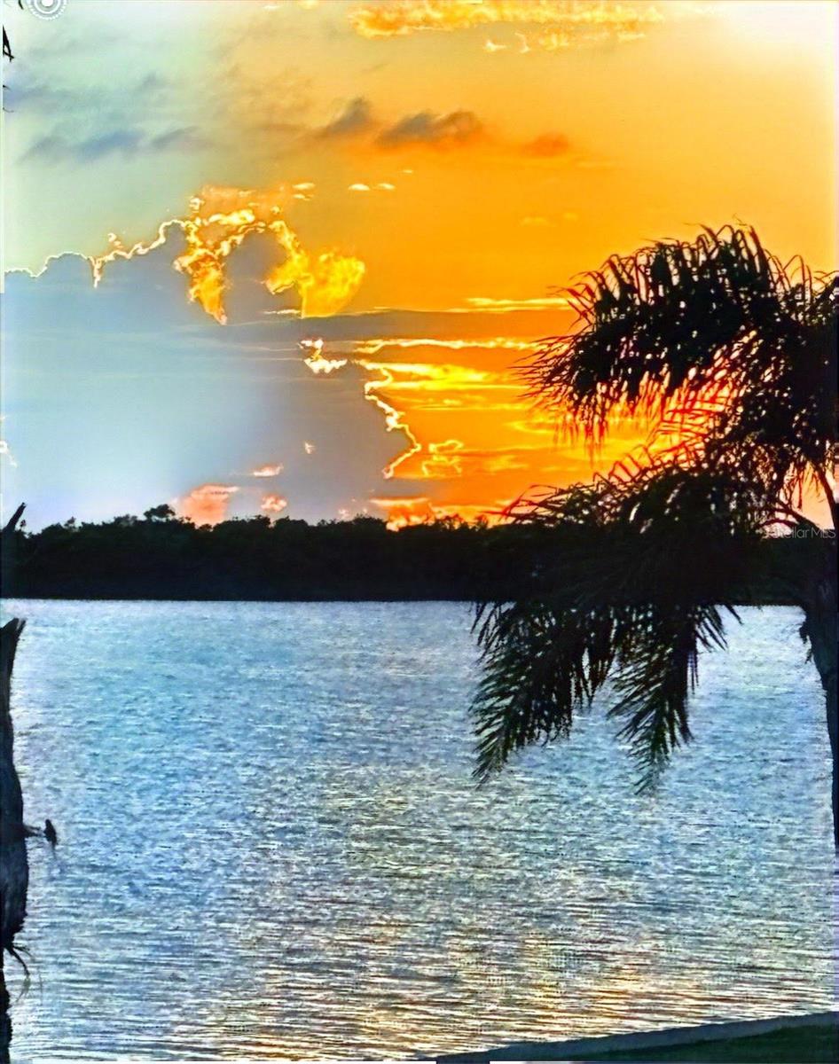 PARADISE BAY ESTATES CO-OP - Residential