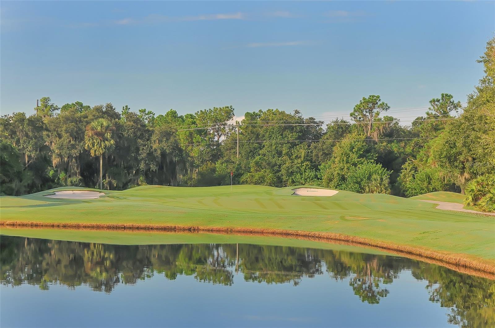 ROSEDALE 6-A - Residential