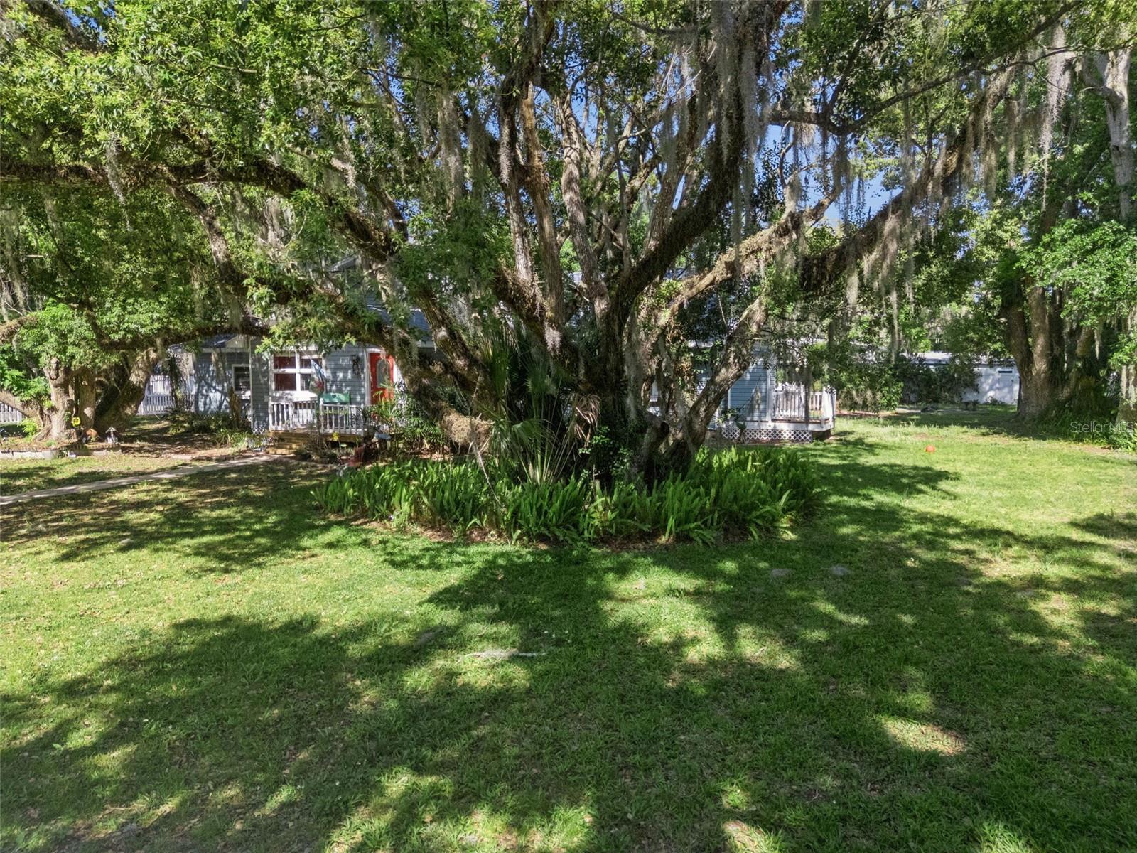 MOUNT DORA GULLERS HOMESTEAD - Residential
