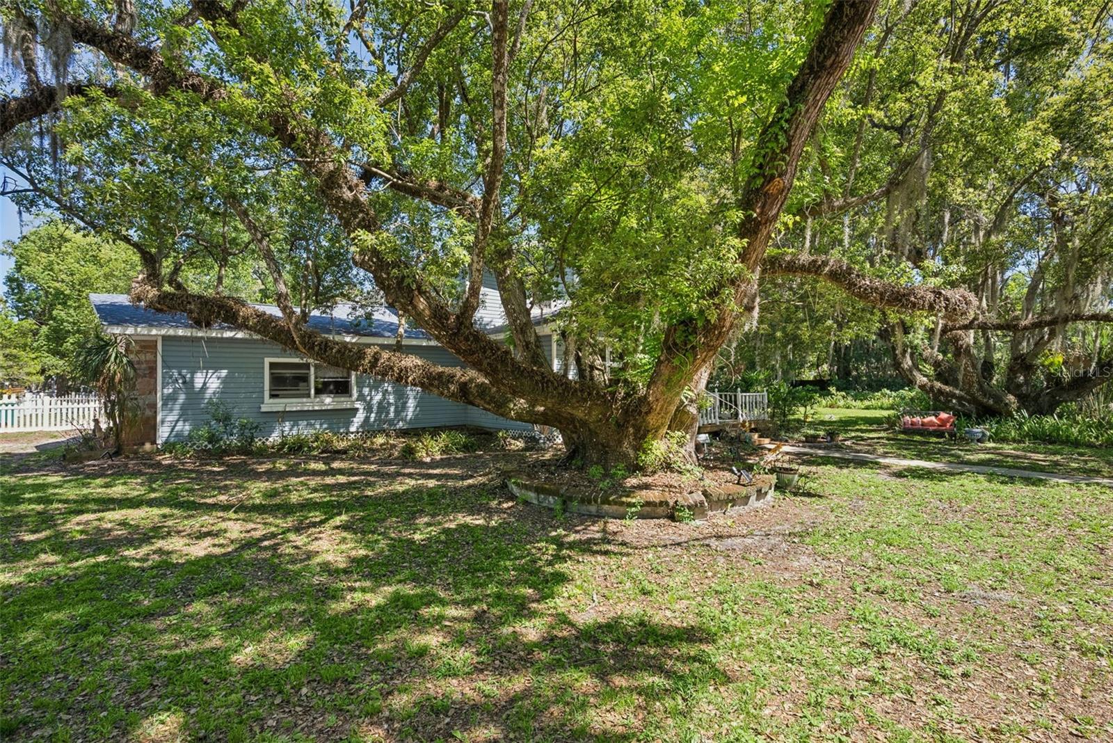 MOUNT DORA GULLERS HOMESTEAD - Residential