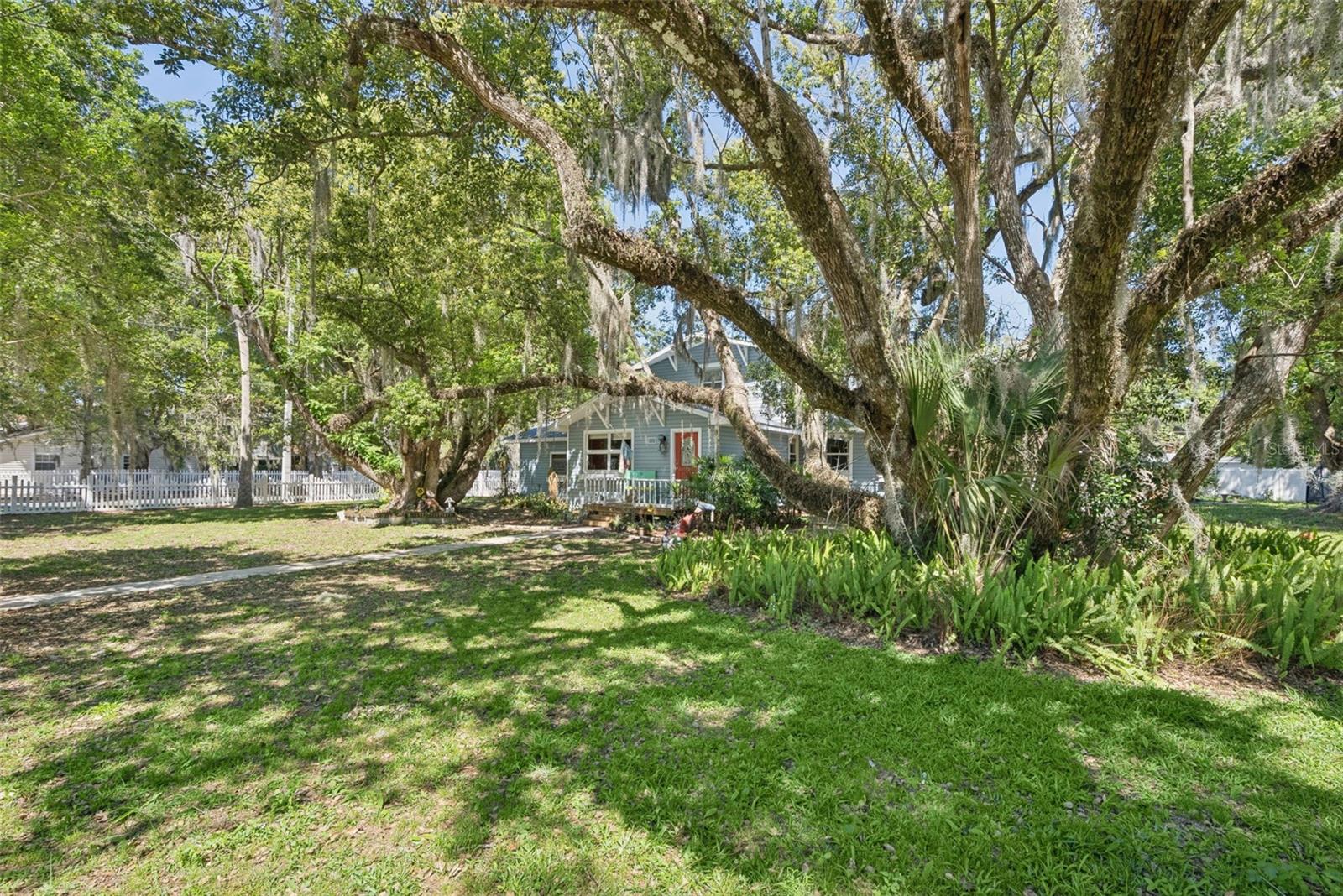 MOUNT DORA GULLERS HOMESTEAD - Residential