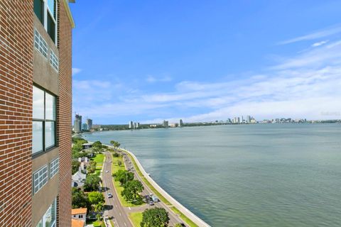 4015 BAYSHORE BOULEVARD 16A TAMPA FL 33611