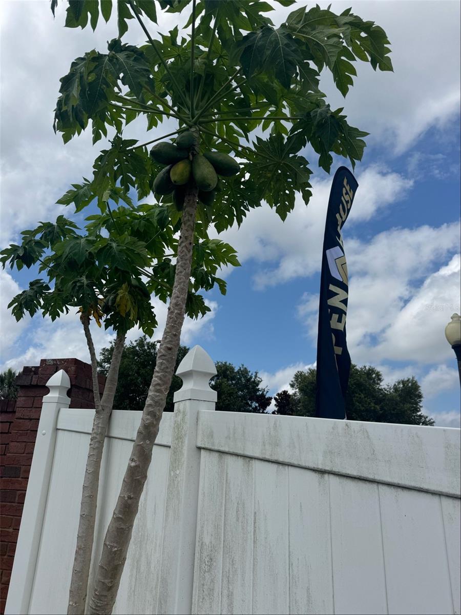 16780 MEADOWS STREET