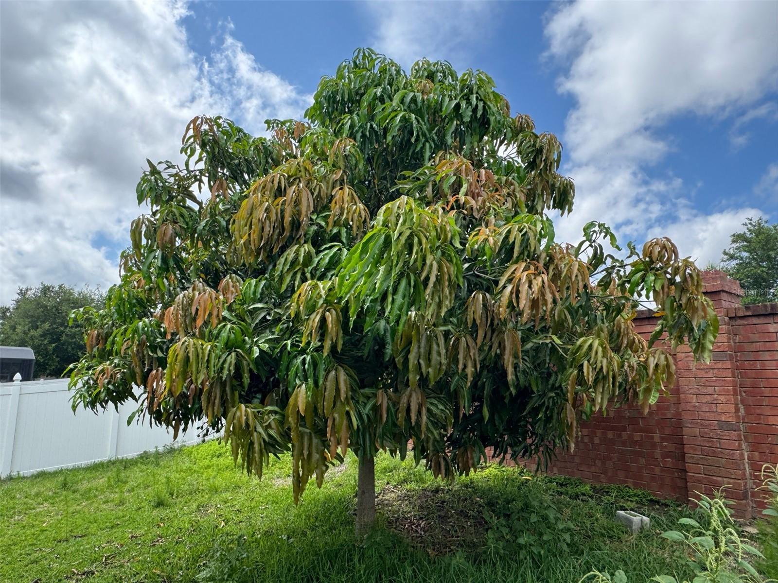 16780 MEADOWS STREET