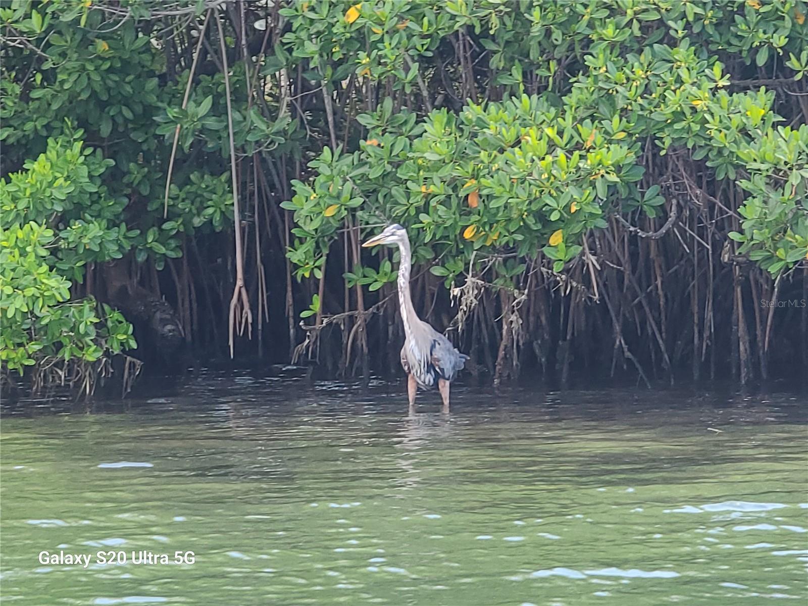 TANGERINE BAY CLUB - Residential