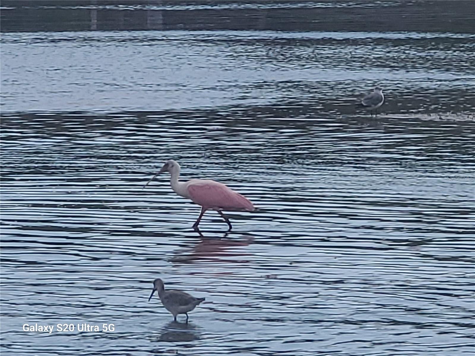 TANGERINE BAY CLUB - Residential
