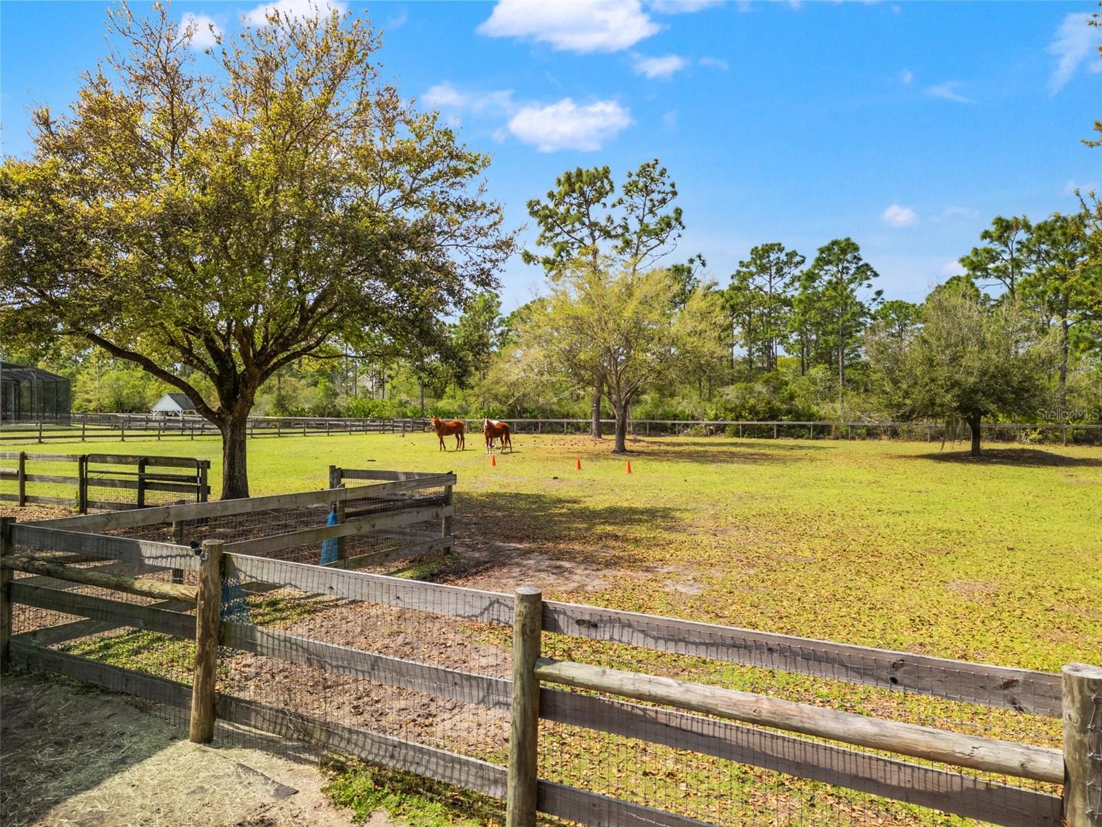 WEDGEFIELD/ ROCKET CITY - Residential