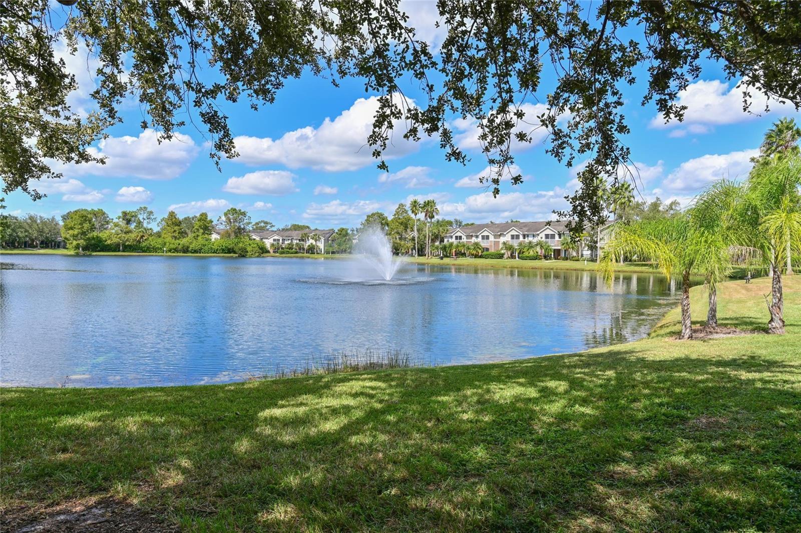 THE VILLAGE AT TOWNPARK - Residential
