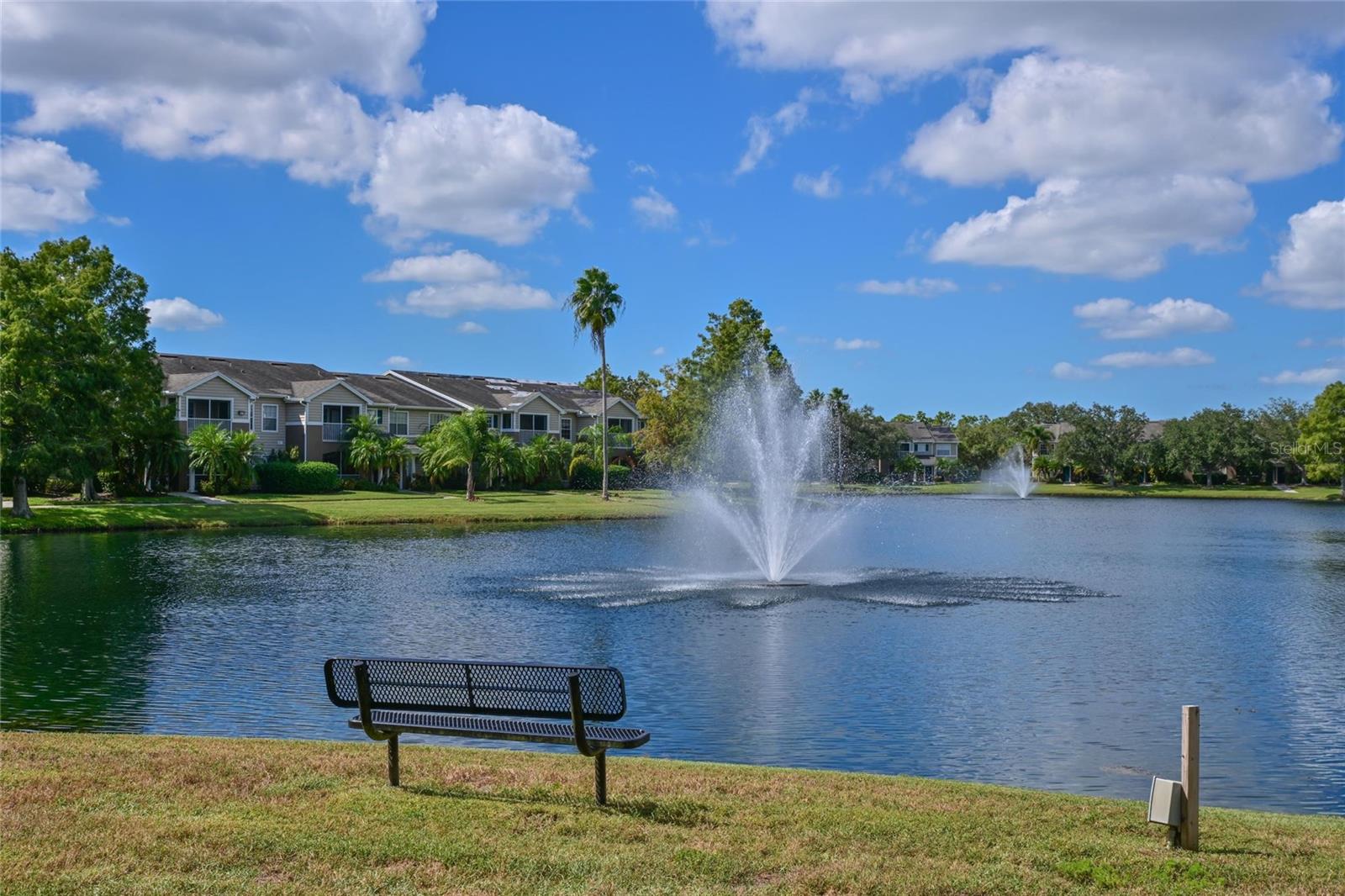 THE VILLAGE AT TOWNPARK - Residential
