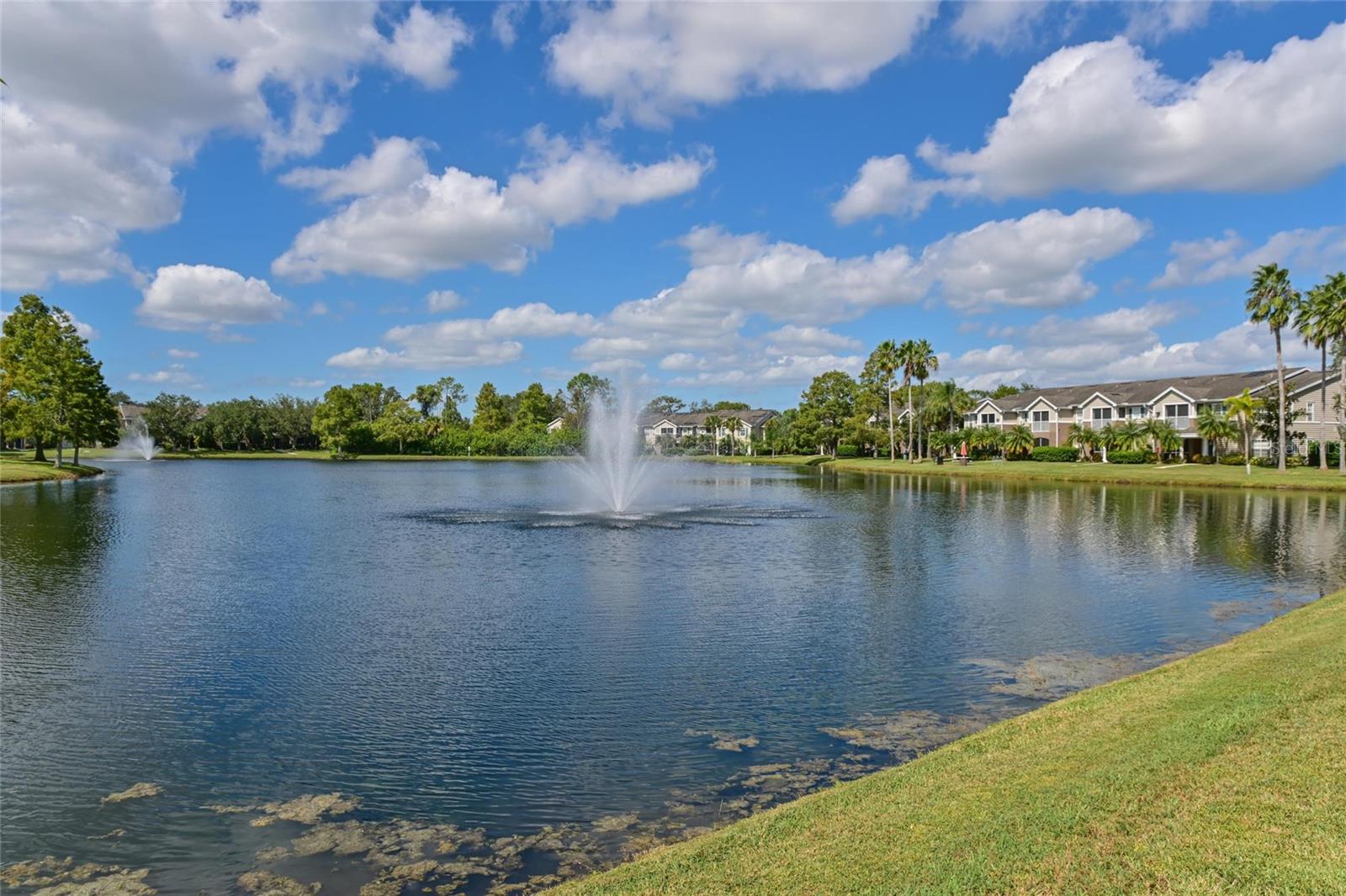 THE VILLAGE AT TOWNPARK - Residential
