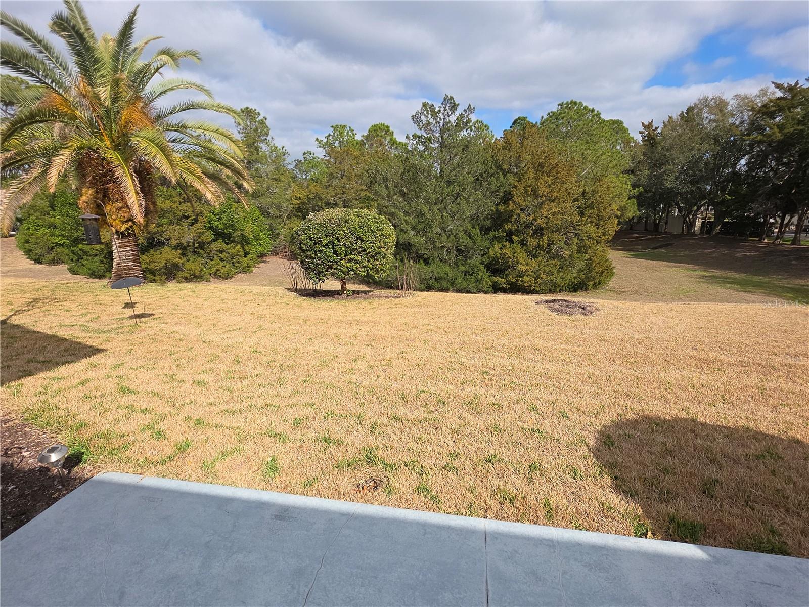 TIMBER PINES - Residential