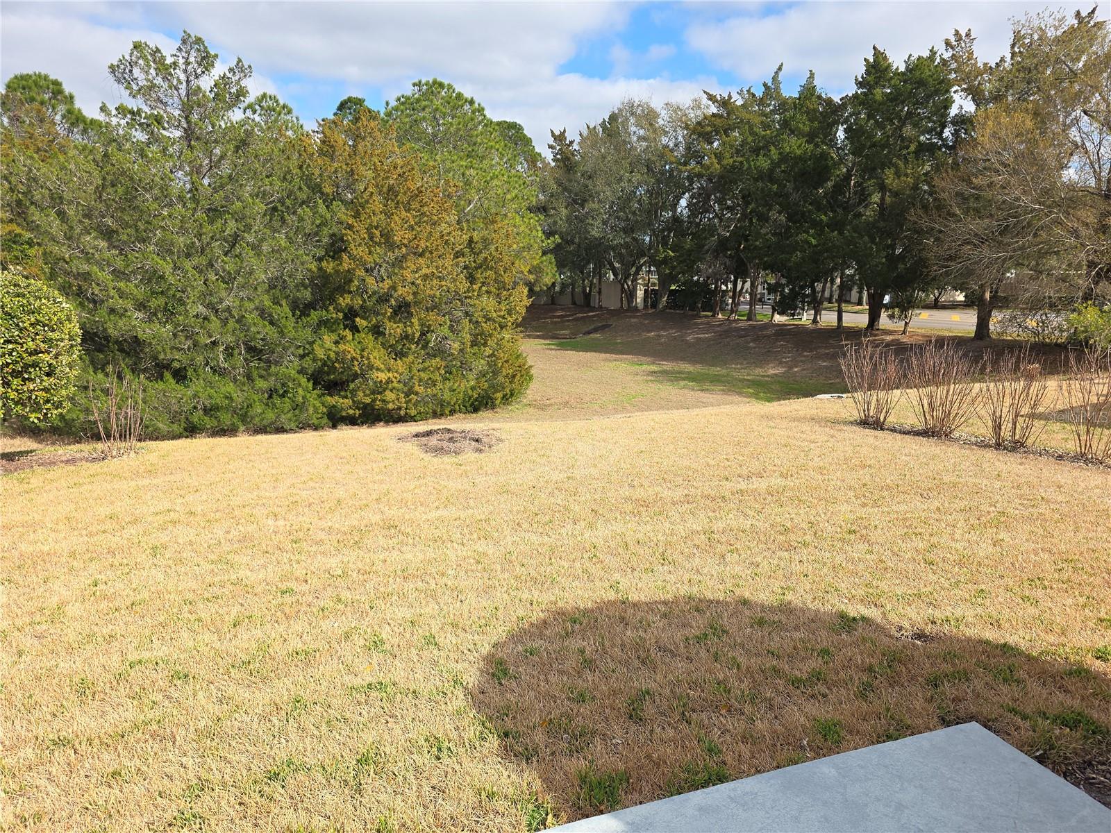 TIMBER PINES - Residential