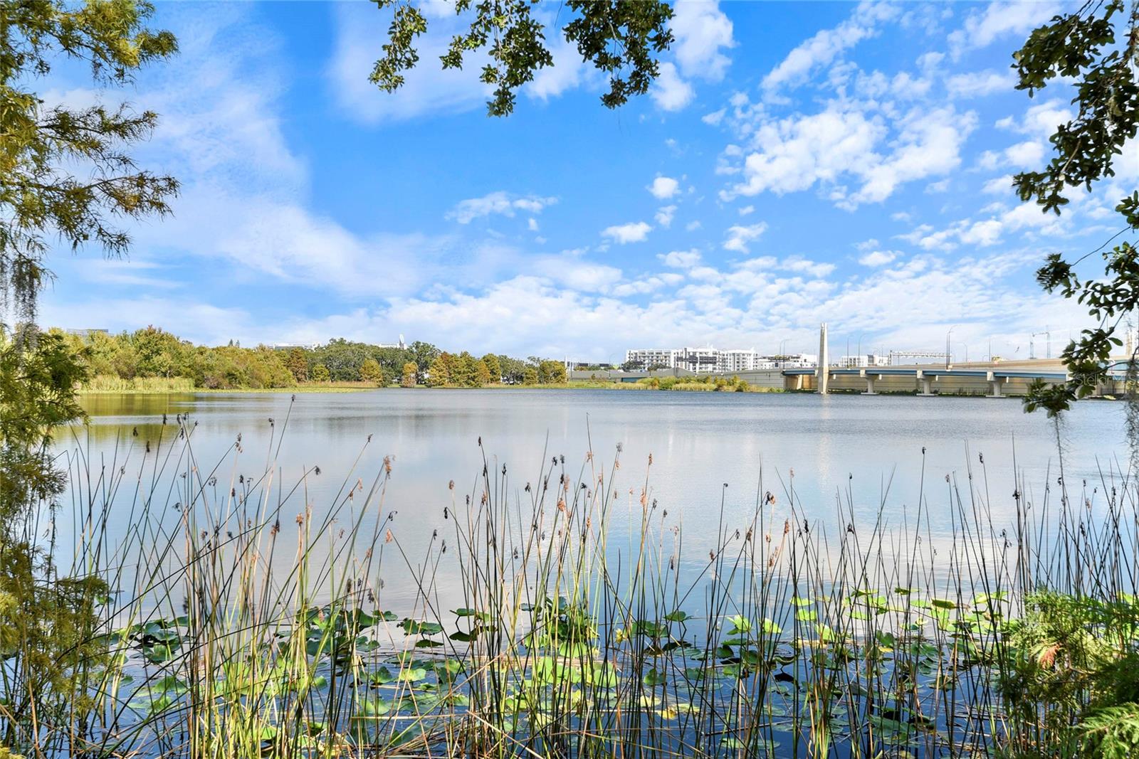 RENAISSANCE AT LAKE IVANHOE CONDO - Residential