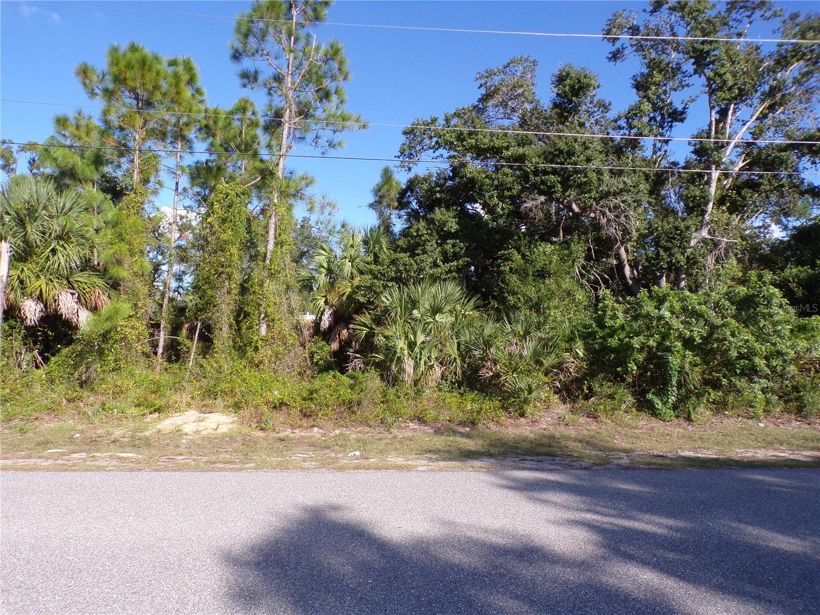 This Great waterfront lot is on the Dorchester Waterway providing a water view with freshwater fishing and kayaking from your own backyard. This would be a great place to build your dream home and retire or raise your family. This lot is in the most desired Flood Zone X saving the cost of Flood insurance, and is Not in the boundaries of the current Scrub Jay protection area saving on additional permitting cost. Less than 6 miles to I75 makes this location an easy commute to almost anywhere, and only 20 miles to Chadwick park at Englewood Beach with amazing sunsets, 3 miles to Port Charlotte Town Center and only 9 miles Punta Gorda Historic district and waterfront park with lots of shopping and dining options. Tampa Bay Rays spring training and the fairgrounds are just minutes away, also multiple golf courses and some of the best boating and fishing in all of Florida. Red Soxs, Orioles, Twins and Braves spring training all within an hour’s drive. Buyer and buyers rep responsible for determining environment conditions and endangered species restrictions. This lot is priced to sell so please call for availability! This lot is at a great price point for the investor call today.