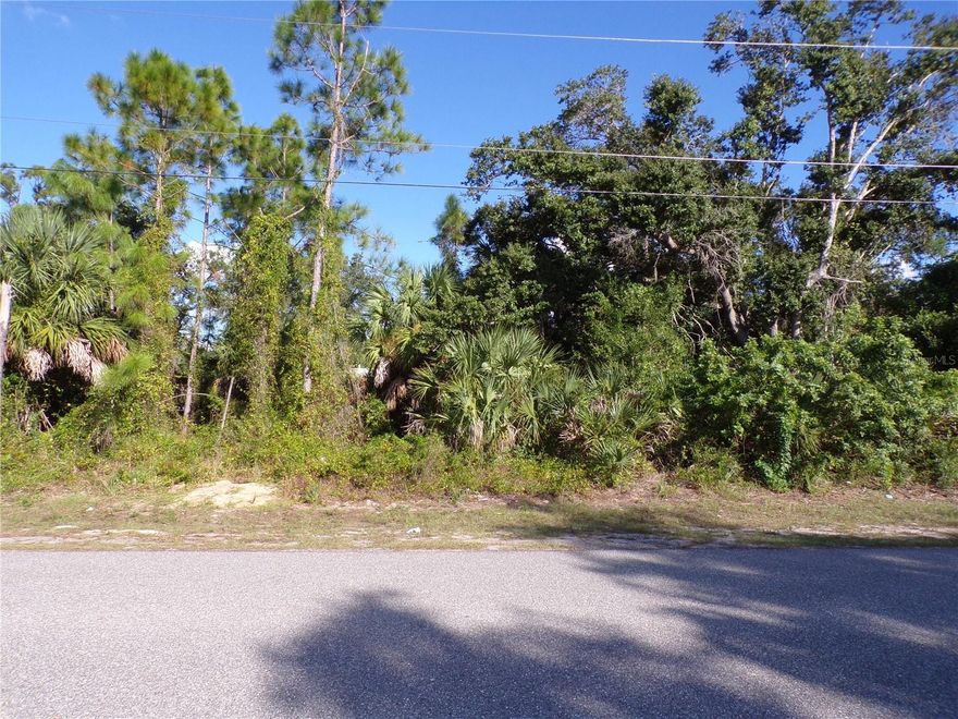 This Great waterfront lot is on the Dorchester Waterway providing a water view with freshwater fishing and kayaking from your own backyard. This would be a great place to build your dream home and retire or raise your family. This lot is in the most desired Flood Zone X saving the cost of Flood insurance, and is Not in the boundaries of the current Scrub Jay protection area saving on additional permitting cost. Less than 6 miles to I75 makes this location an easy commute to almost anywhere, and only 20 miles to Chadwick park at Englewood Beach with amazing sunsets, 3 miles to Port Charlotte Town Center and only 9 miles Punta Gorda Historic district and waterfront park with lots of shopping and dining options. Tampa Bay Rays spring training and the fairgrounds are just minutes away, also multiple golf courses and some of the best boating and fishing in all of Florida. Red Soxs, Orioles, Twins and Braves spring training all within an hour’s drive. Buyer and buyers rep responsible for determining environment conditions and endangered species restrictions. This lot is priced to sell so please call for availability! This lot is at a great price point for the investor call today.