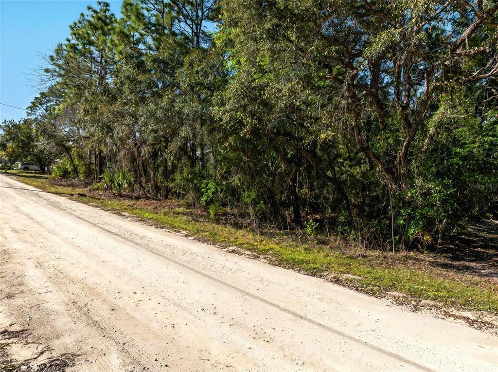 Photo of 9003 Glenarm Way, Weeki Wachee, FL 34613 (MLS # O6285929)