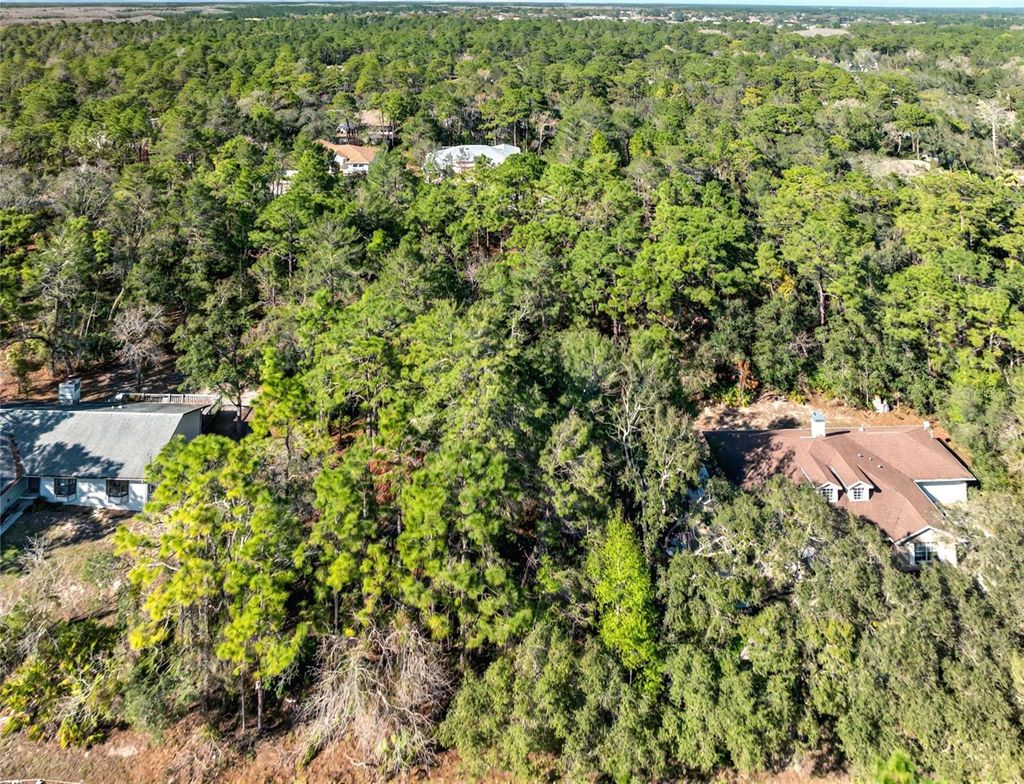 Photo of 9003 Glenarm Way, Weeki Wachee, FL 34613 (MLS # O6285929)