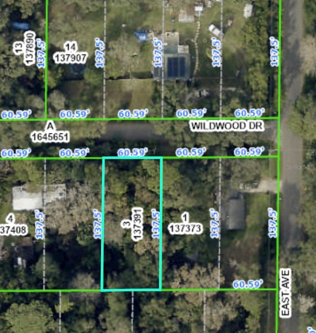 Photo of 20128 Wildwood Drive, Brooksville, FL 34601 (MLS # O6169528)