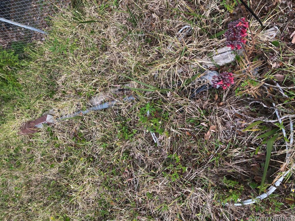 South Waterfront Park - Land