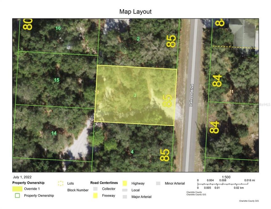 Nice lot in sought after and Peace River Shores. Lot 2 next door 31 Dahoon also available The community has a voluntary association for use of the boat ramp, clubhouse, park and picnic area. Close proximity to all the great amenities the city of Punta Gorda has to offer such as shopping, entertainment, restaurants 10 minutes to I75