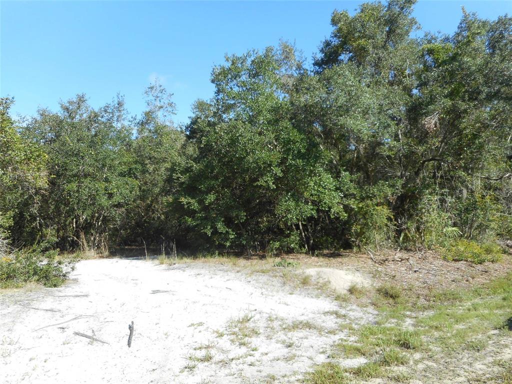 PEACE RIVER SHORES - Land