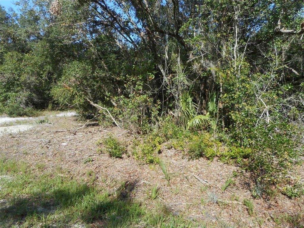 PEACE RIVER SHORES - Land