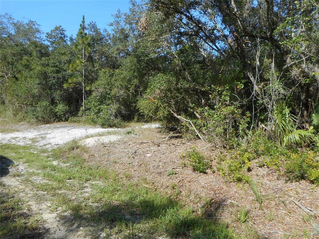 PEACE RIVER SHORES - Land