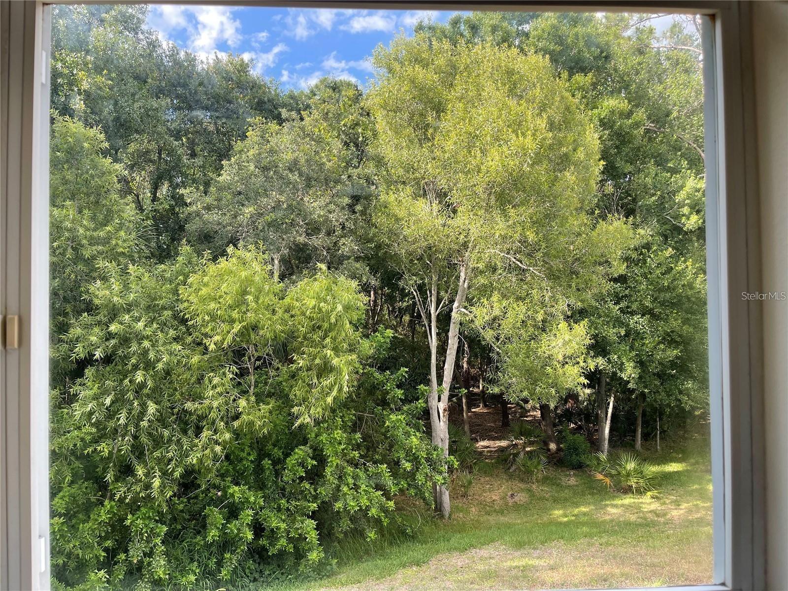 RIVER CHASE SUB - Residential Lease