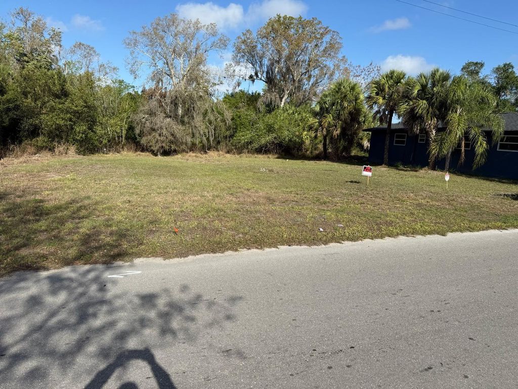 Photo of 228 Singleton Avenue, Arcadia, FL 34266 (MLS # O6389776)