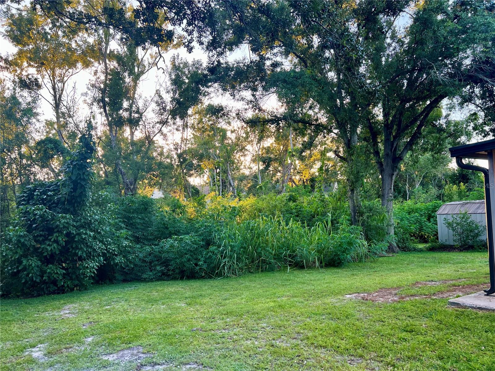 12306 AJAY COURT