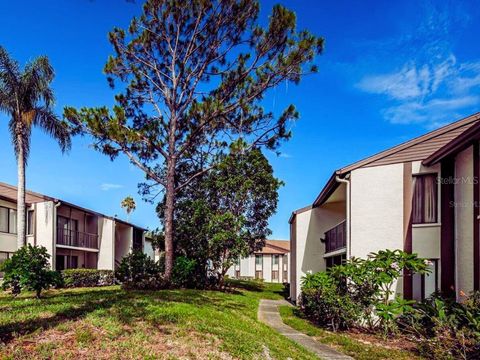 A home in PALM HARBOR