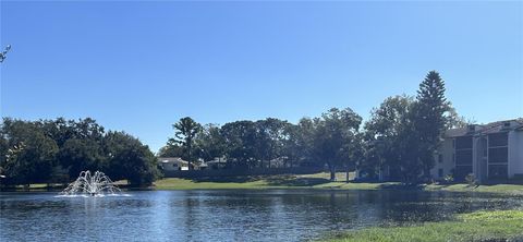 A home in PALM HARBOR