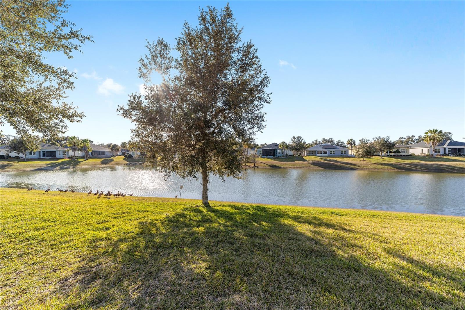 LAKESIDE LANDINGS - THE ENCLAVE - Residential