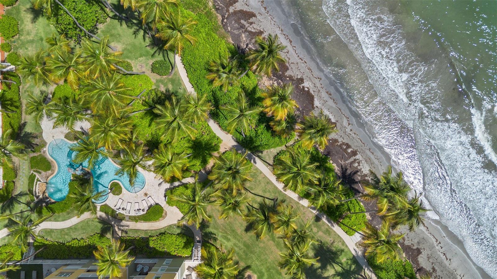 THE MARBELLA CLUB II 425 - Residential