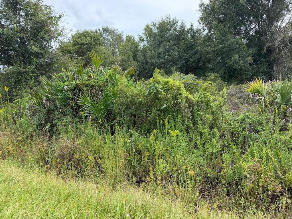 Photo of 14616 NW 260th Street, Okeechobee, FL 34972 (MLS # C7531418)