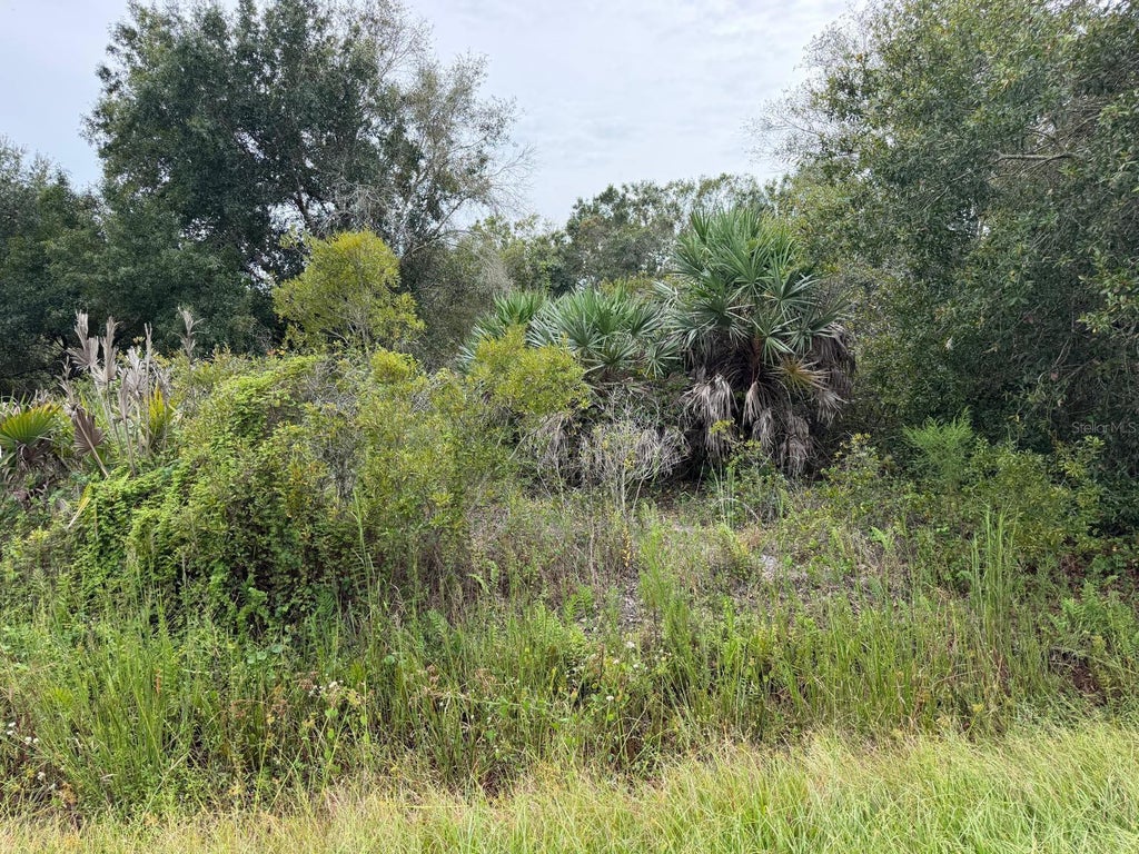 Photo of 14616 NW 260th Street, Okeechobee, FL 34972 (MLS # C7531418)