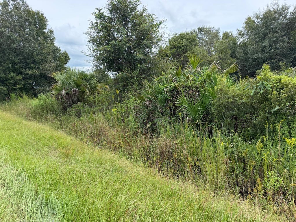 Photo of 14616 NW 260th Street, Okeechobee, FL 34972 (MLS # C7531418)