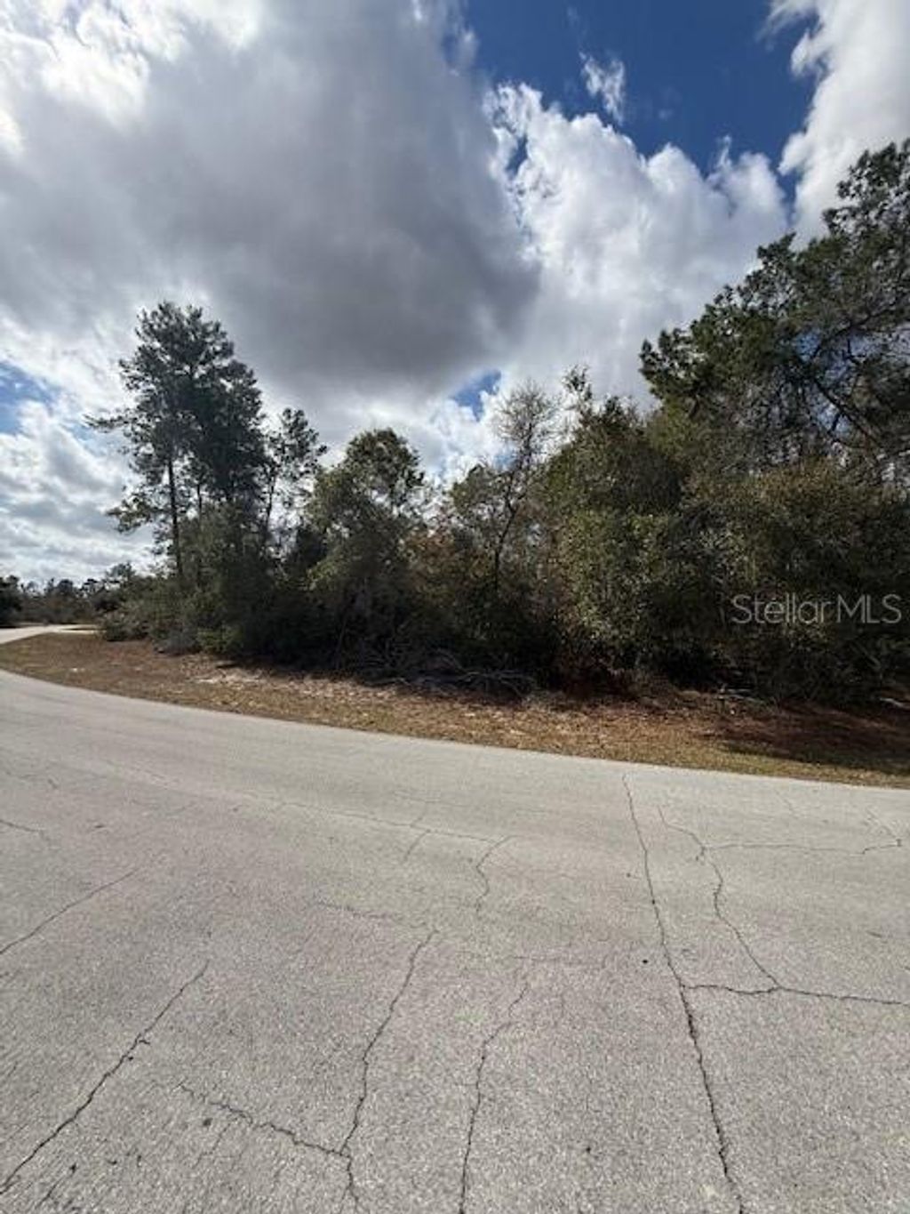 Photo of 0 SW 42nd Court Road, Ocala, FL 34473 (MLS # O6384702)