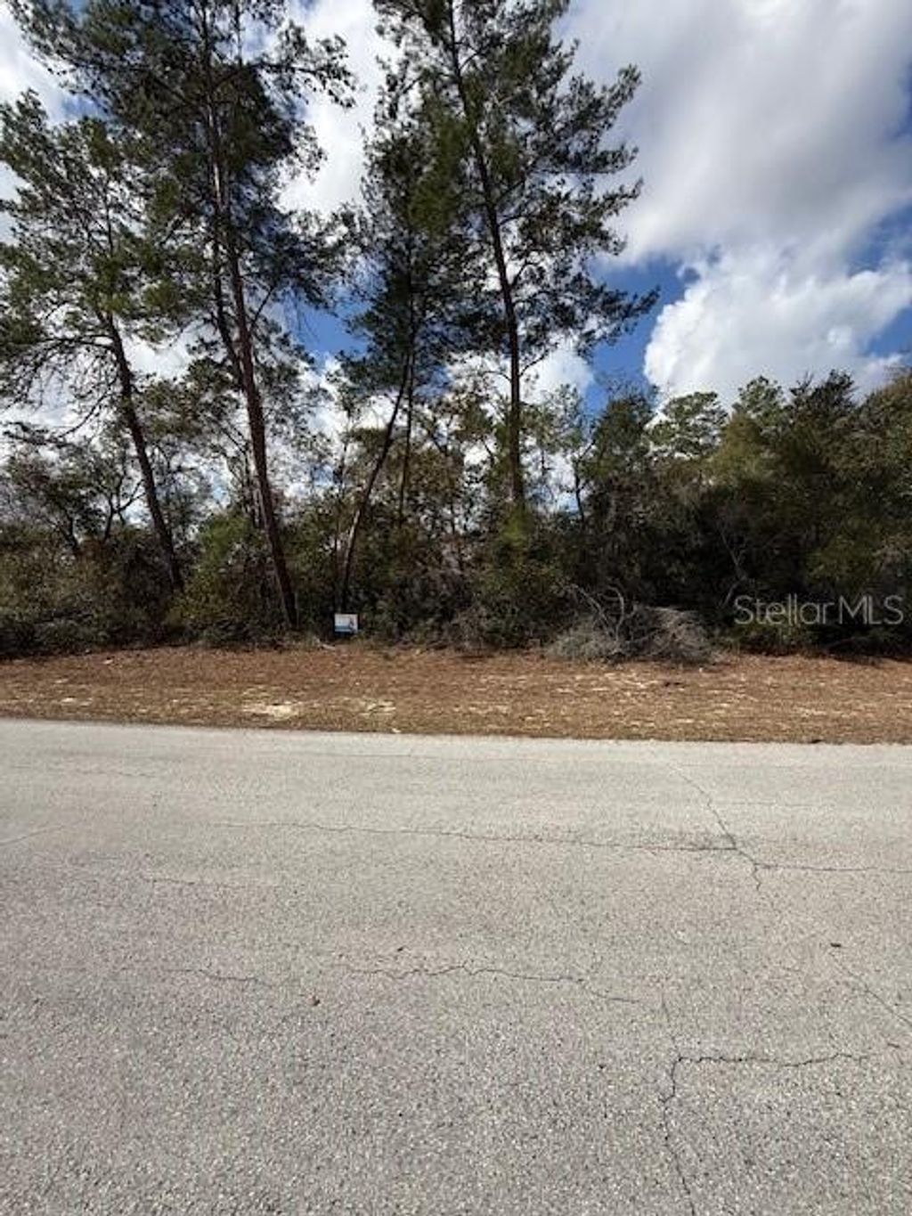 Photo of 0 SW 42nd Court Road, Ocala, FL 34473 (MLS # O6384702)