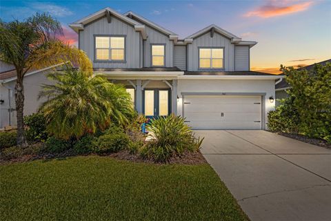 3161 SATILLA LOOP ODESSA FL 33556