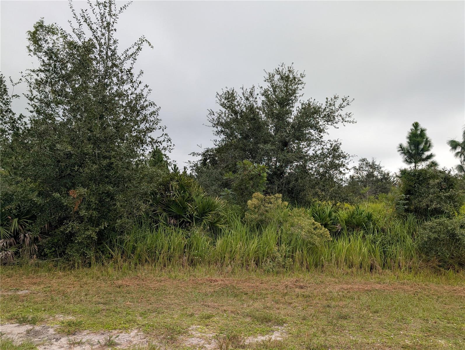 INDIAN LAKE ESTATES - Land