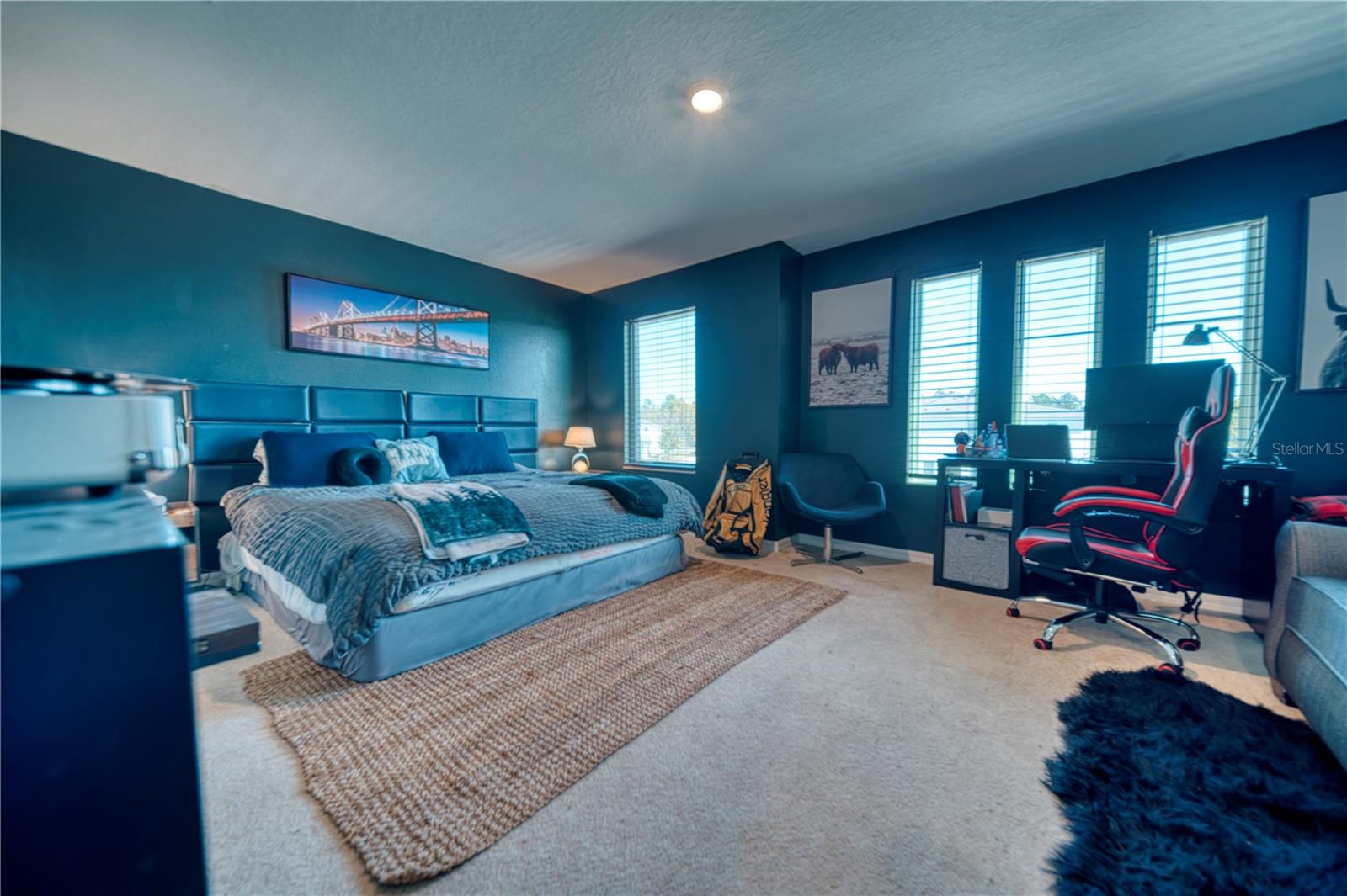 BELLA PARC TWNHMS - Residential