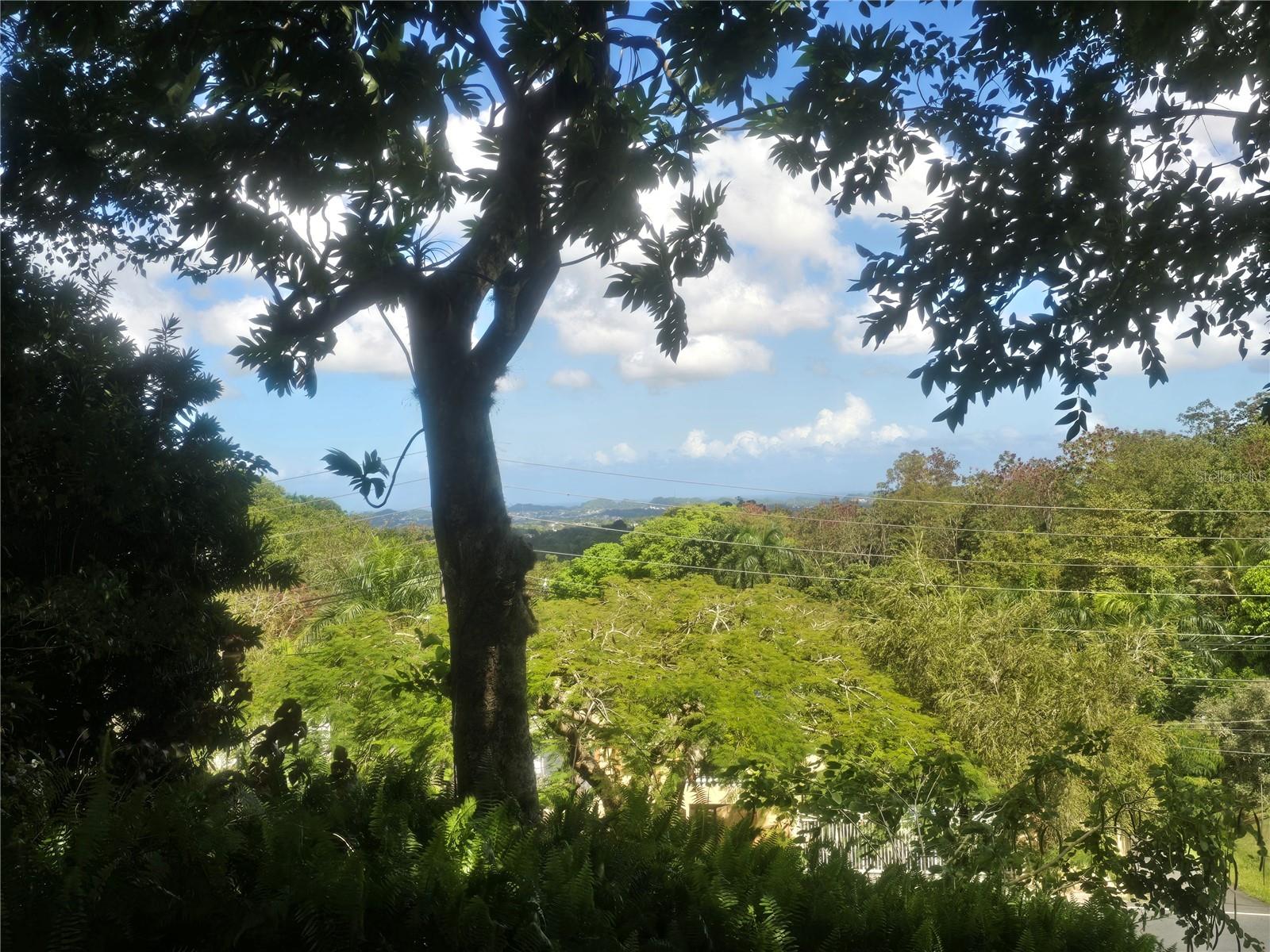 BO. BUENA VISTA KM 4.2 - Residential