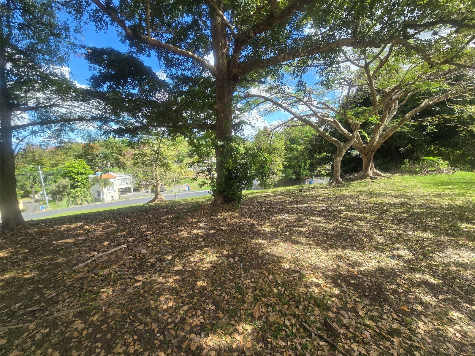 BO. BUENA VISTA KM 4.2 - Residential
