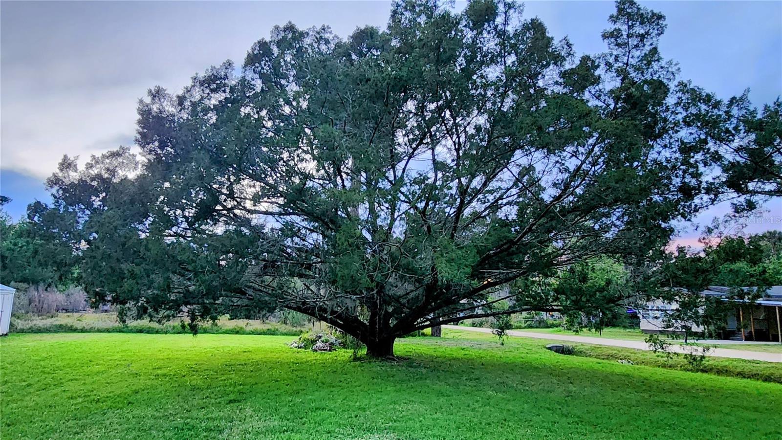 ST JOHNS PARK UN 1 - Land